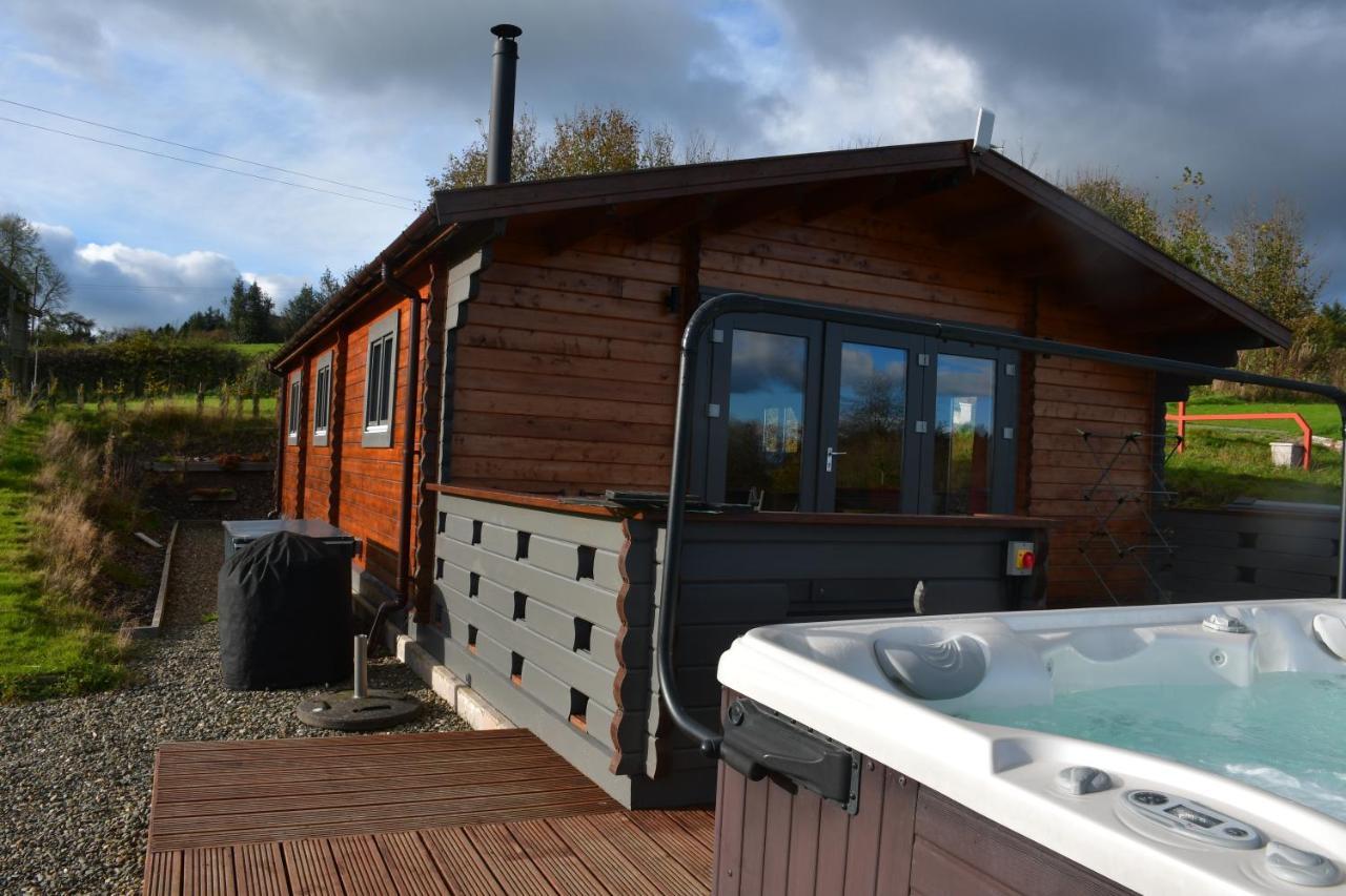 Long Wood Lodges Knighton  Exterior photo